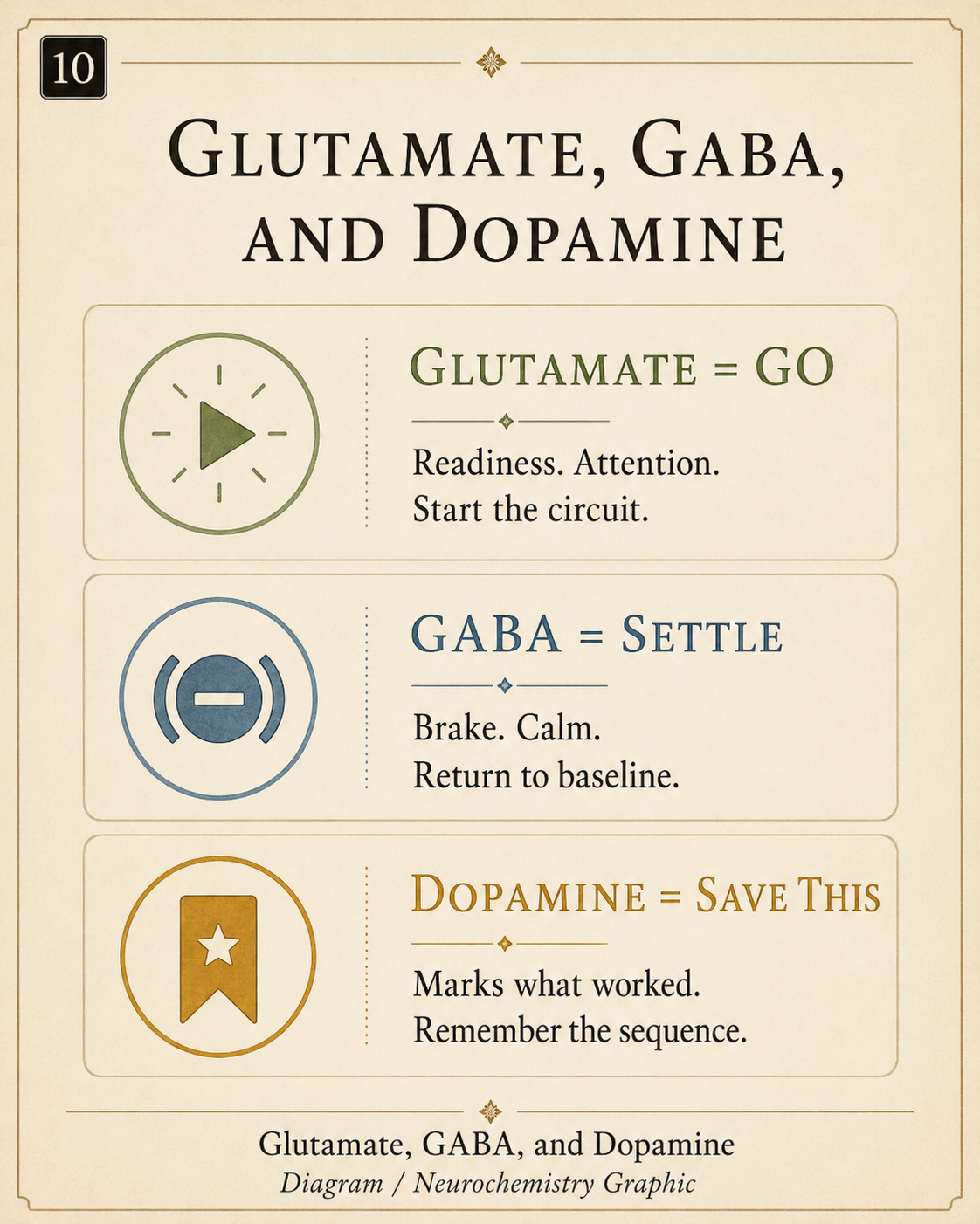 Simple neurochemistry graphic representing glutamate, GABA, and dopamine