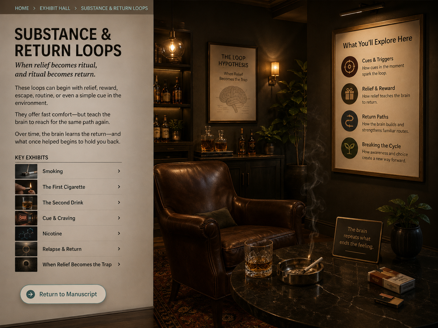 Substance, Risk & Return Loops room image