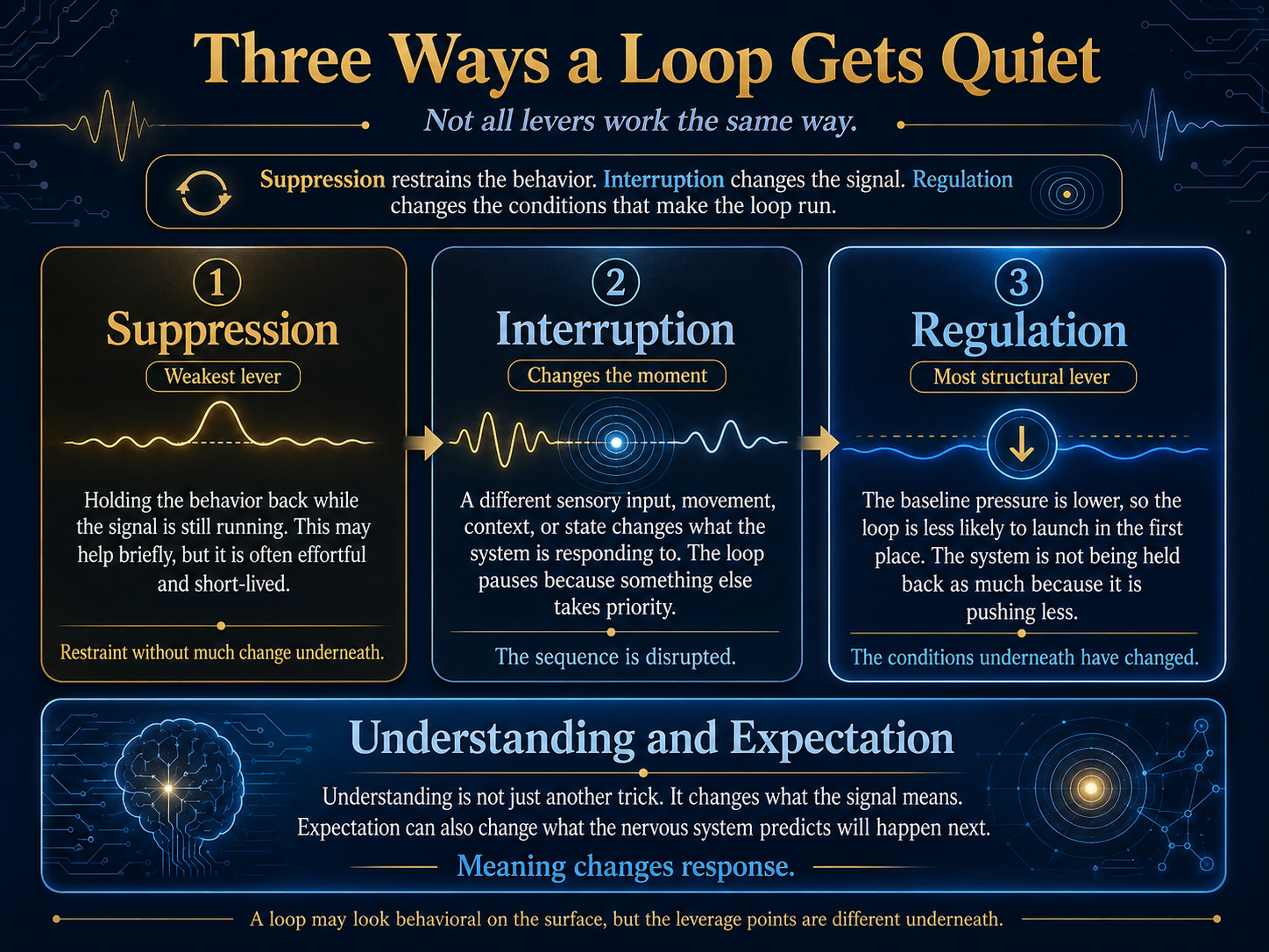 Three Ways a Loop Gets Quiet: suppression restrains the behavior, interruption changes the signal, regulation changes the conditions that make the loop run, while understanding and expectation can change what the signal means and what the nervous system predicts next.